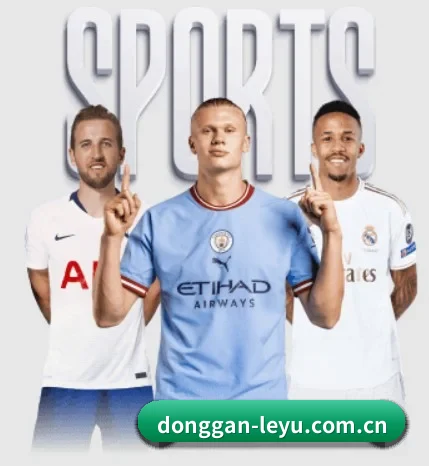 五个功能入口,赛程查询路径更短