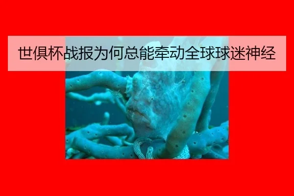 世俱杯战报为何总能牵动全球球迷神经